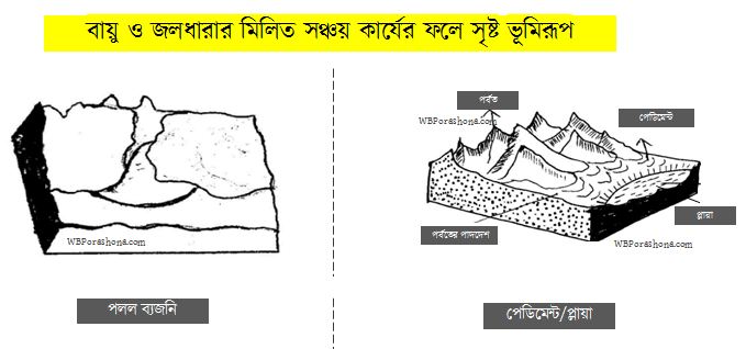 শুষ্ক অঞ্চলে বায়ু ও জলধারার মিলিত কার্যের ফলে সৃষ্ট ভূমিরূপগুলি চিত্রসহ ব্যাখ্যা করো