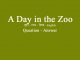 a-day-in-zoo