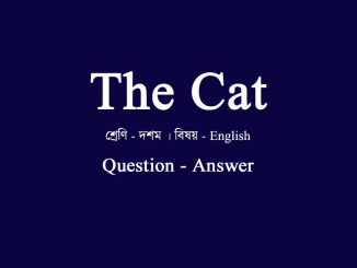 the-cat-question-answer