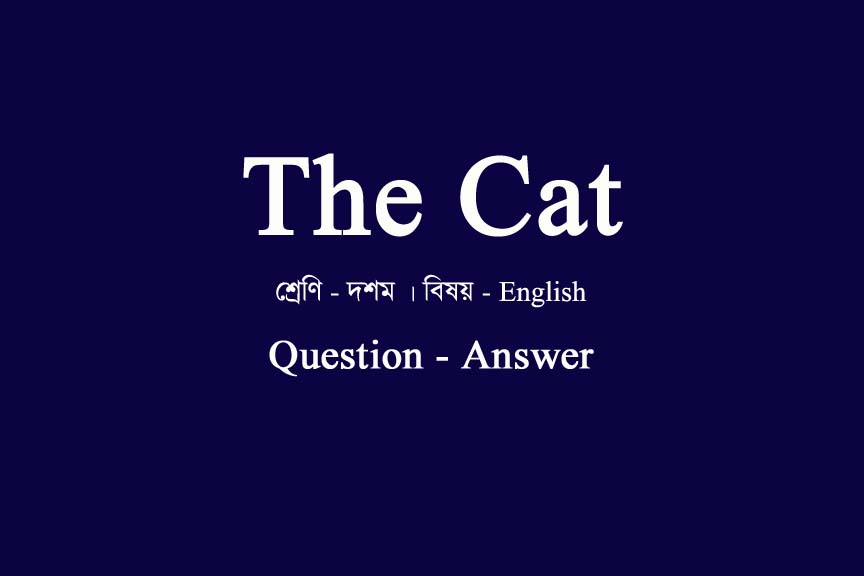 The Cat Question Answer WBBSE Class 10 English