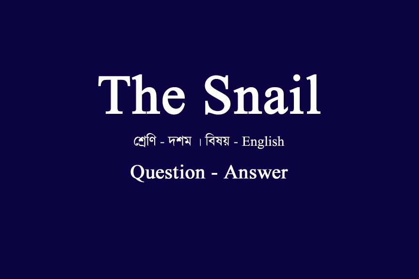The Snail Question Answer WBBSE Class 10 English WBPorashona the-snail-question-answer-wbbse-class-10-english-wbporashona