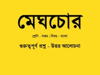 meghchor-class-7-question-answer
