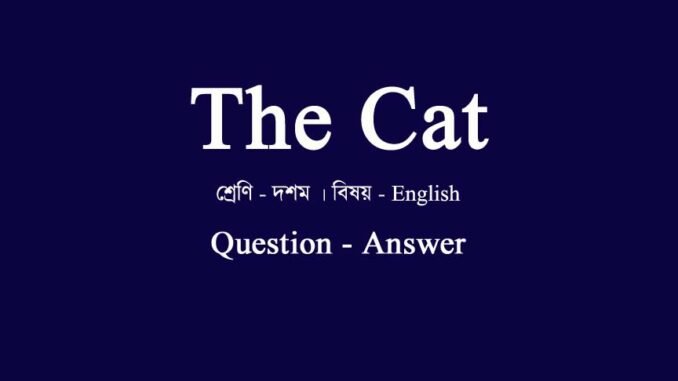 WBBSE-class-10-english-the-cat-question-answer