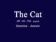 WBBSE-class-10-english-the-cat-question-answer
