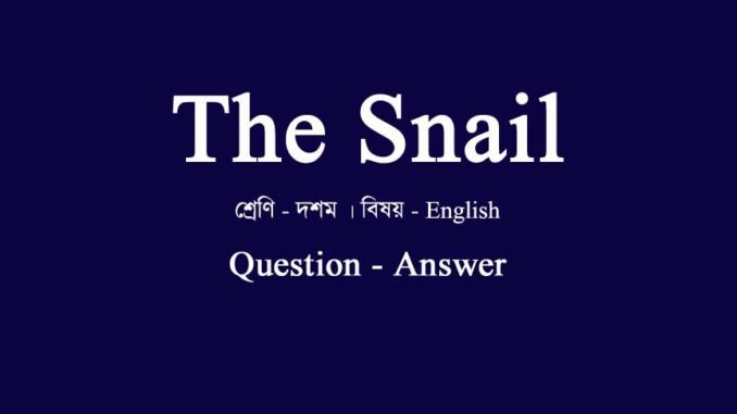 WBBSE-class-10-english-the-snail-question-answer